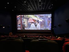 -万达影城(湛江万达广场IMAX店)