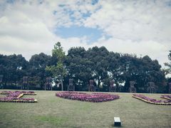 -上海月湖雕塑公园