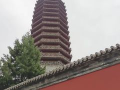-西海子公园