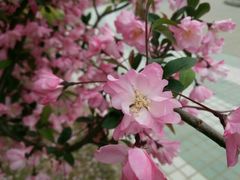-宿迁学院