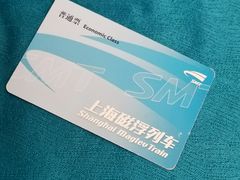 -龙阳路磁悬浮列车总站-停车场