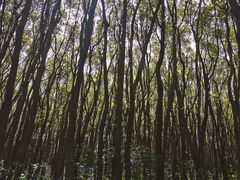 -同里国家湿地公园