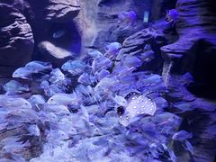 -成都浩海立方海洋公园