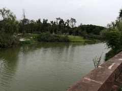 -白鹭湾湿地公园