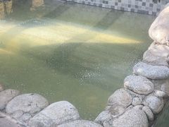 -三江森林温泉度假区