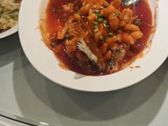 -天和晟新京菜.水煮鱼.湘土菜(国展店)