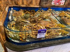 -开海·红岛海鲜虾水饺(石老人店)