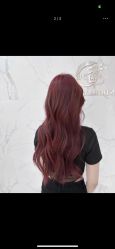 -东方麒麟·潘多拉SALON
