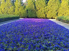 -上海市龙华烈士陵园