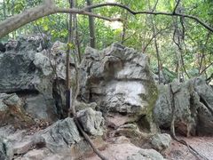 -杭州西湖风景名胜区-三生石