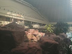 -青岛海泉湾度假区温泉