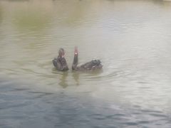 -新疆天山野生动物园