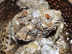 -蚝堡海鲜·威海菜·海肠捞饭·烧烤·亚洲吃蚝公司(幸福门店)