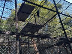 -深圳野生动物园