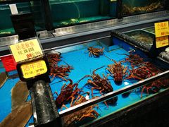 水产区-万宝海鲜舫(劳动公园店)