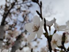 -汉梁文化公园