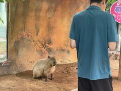 -大连森林动物园