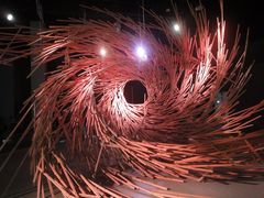 景点-溱湖国家湿地公园