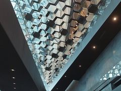 -冰岛阴茎博物馆