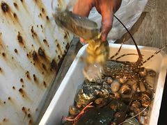 -拉威海鲜市场