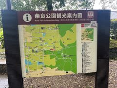 -奈良公园