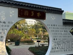 -马王堆汉墓遗址