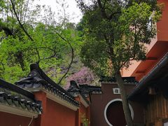 -天台山赤城山景区