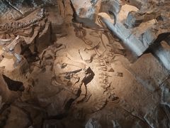 -自贡恐龙博物馆