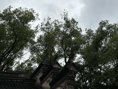 -天一阁博物院