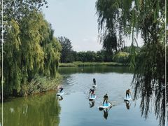 -大兴滨河森林公园