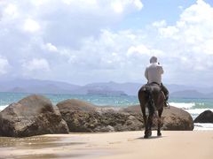 -玫瑰海岸文化旅游度假区