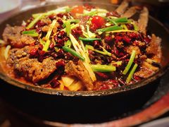 老板恋上鱼-老板恋上鱼(恒隆广场店)