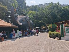 -野象谷景区