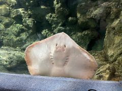 -杭州海底世界