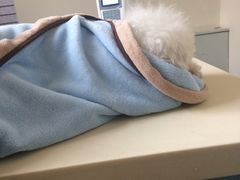 -美联众合动物医院·24h京西诊疗中心