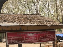 -白渔泡湿地公园