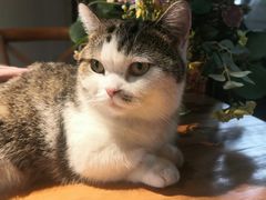 -IFIF 如果花園(宽厚里店)