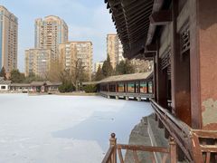 -团结湖公园