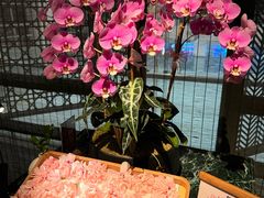 -炳胜品味(深圳万象城店（罗湖）)