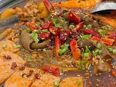 -眉州东坡(清河万象汇店)