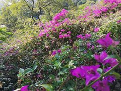 -鸿山公园