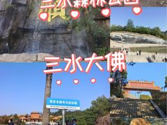 -三水森林公园