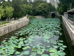 -水绘园