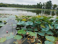 -长春市南湖公园