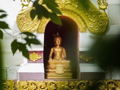 -厦门园林博览苑