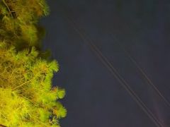 -巴倒烫陆派火锅山庄(南山总店)