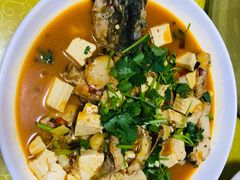 -煲来饱去冷水鱼