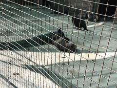 -金龙寺国家森林公园