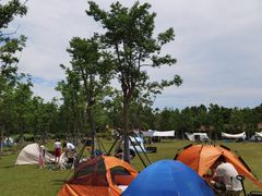 -上海海湾国家森林公园