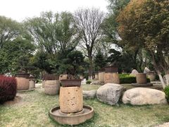 -中国唐苑